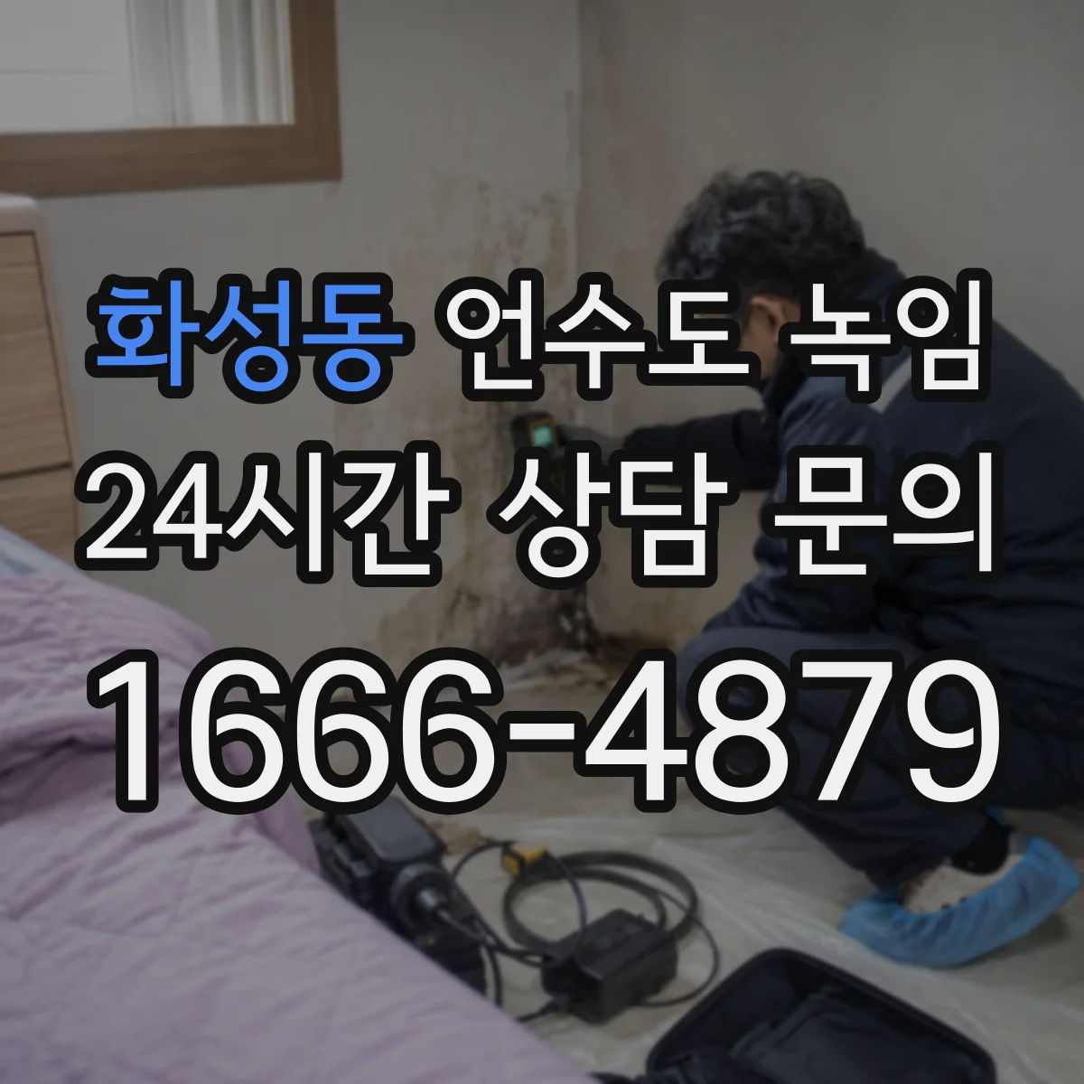 화성동 언수도 녹임