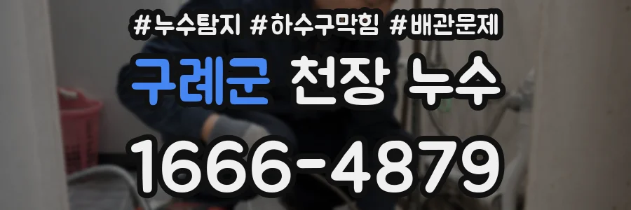 구례군 천장 누수