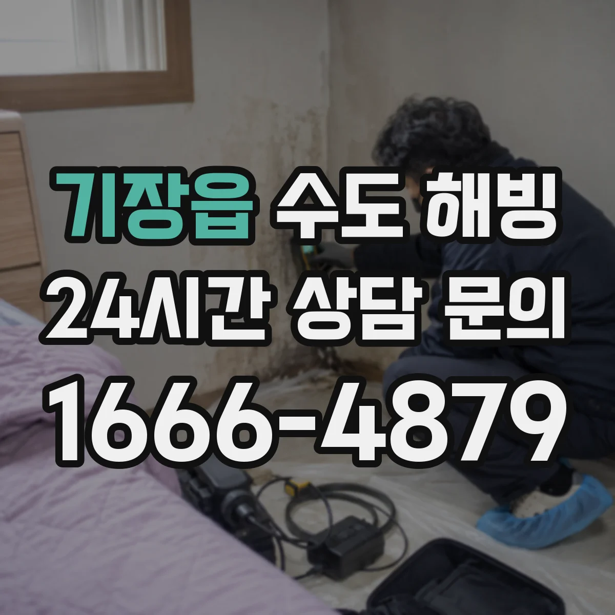 기장읍 수도 해빙
