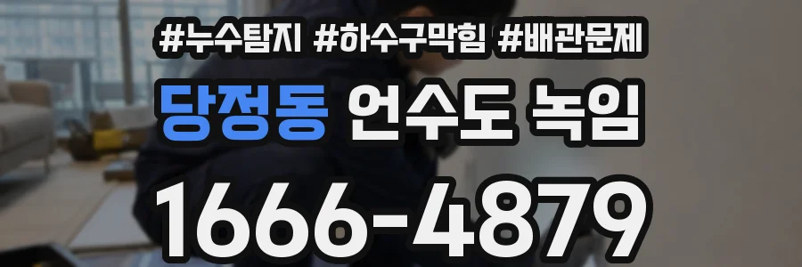 당정동 언수도 녹임