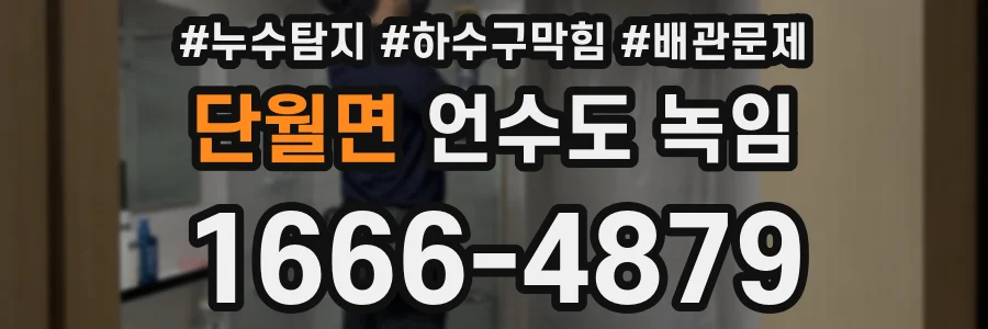 단월면 언수도 녹임