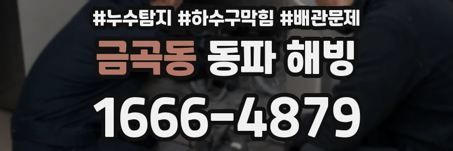 금곡동 동파 해빙