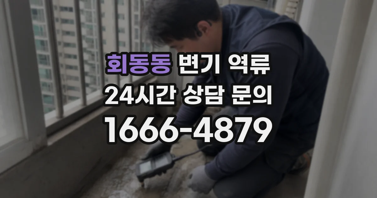 회동동 변기 역류