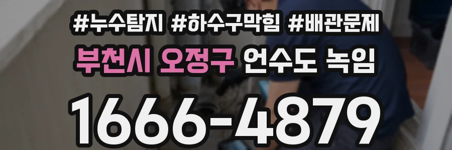 부천시 오정구 언수도 녹임