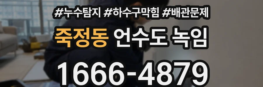 죽정동 언수도 녹임