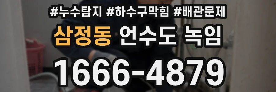 삼정동 언수도 녹임