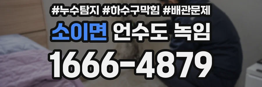 소이면 언수도 녹임