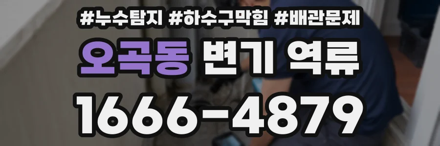 오곡동 변기 역류
