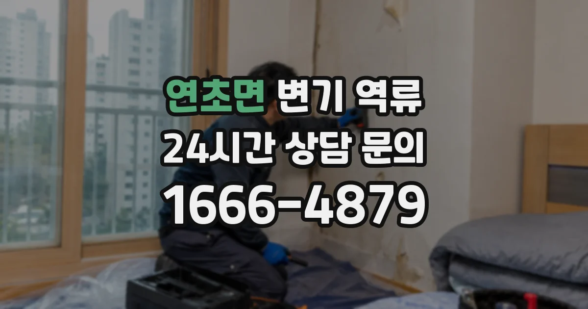 연초면 변기 역류