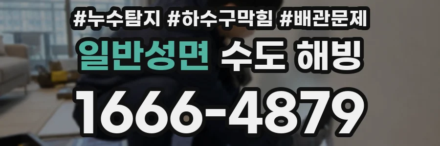 일반성면 수도 해빙