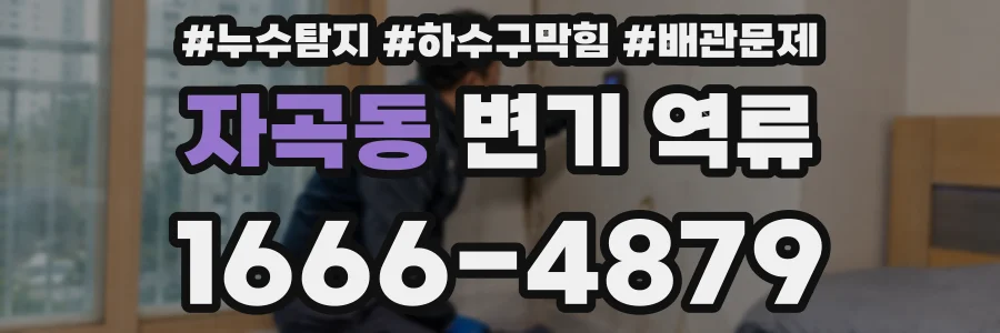 자곡동 변기 역류