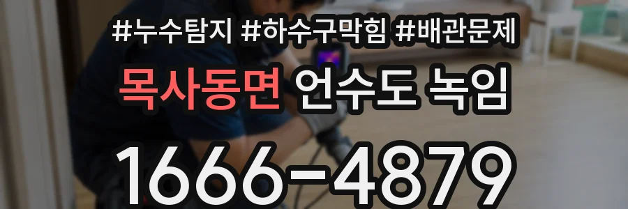 목사동면 언수도 녹임