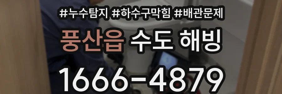 풍산읍 수도 해빙