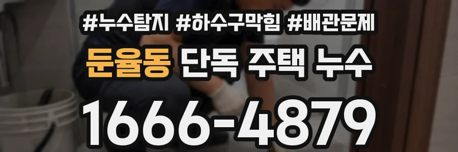 둔율동 단독 주택 누수