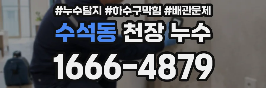 수석동 천장 누수