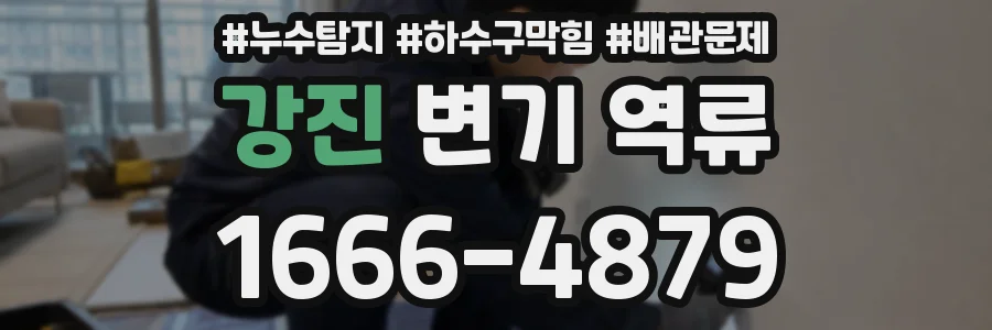 강진 변기 역류