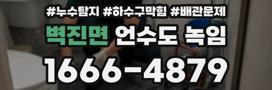 벽진면 언수도 녹임