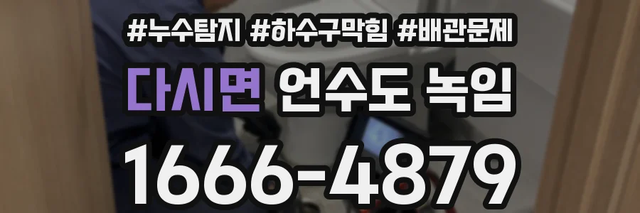 다시면 언수도 녹임