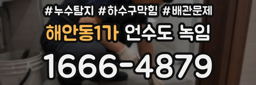 해안동1가 언수도 녹임