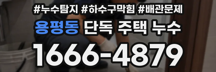 용평동 단독 주택 누수