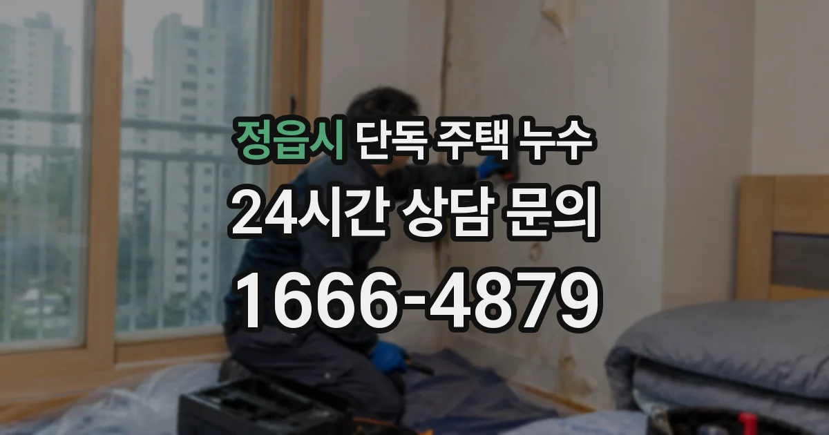 정읍시 단독 주택 누수