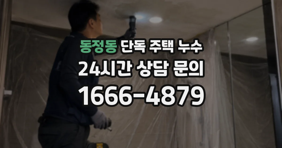 동정동 단독 주택 누수