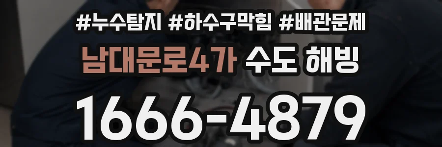 남대문로4가 수도 해빙