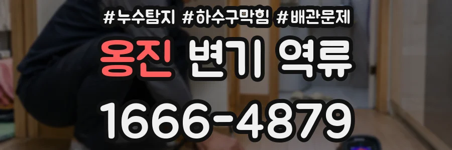 옹진 변기 역류