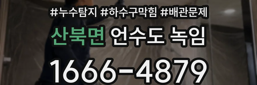 산북면 언수도 녹임