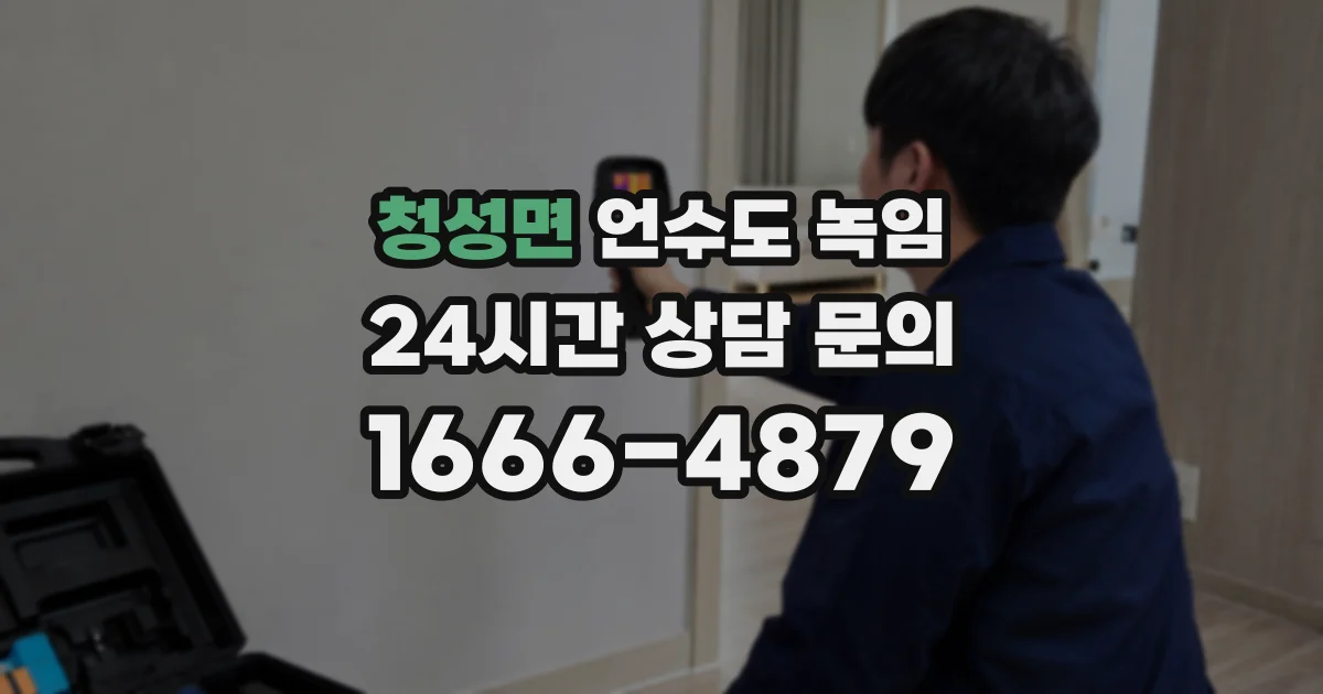 청성면 언수도 녹임