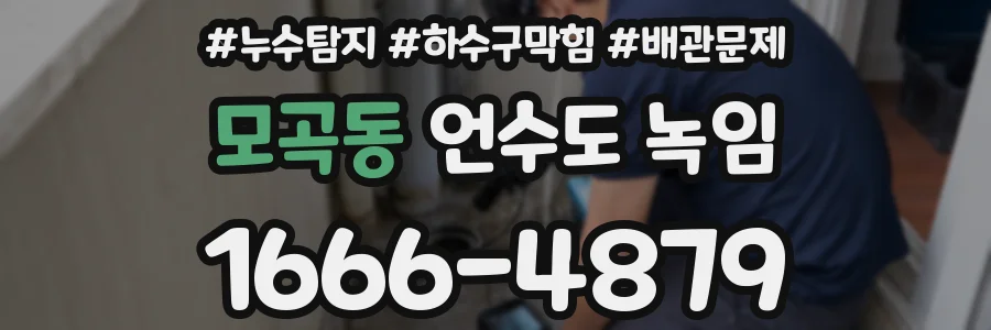 모곡동 언수도 녹임