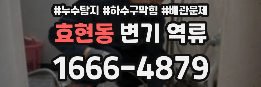 효현동 변기 역류