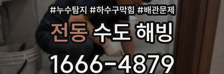 전동 수도 해빙