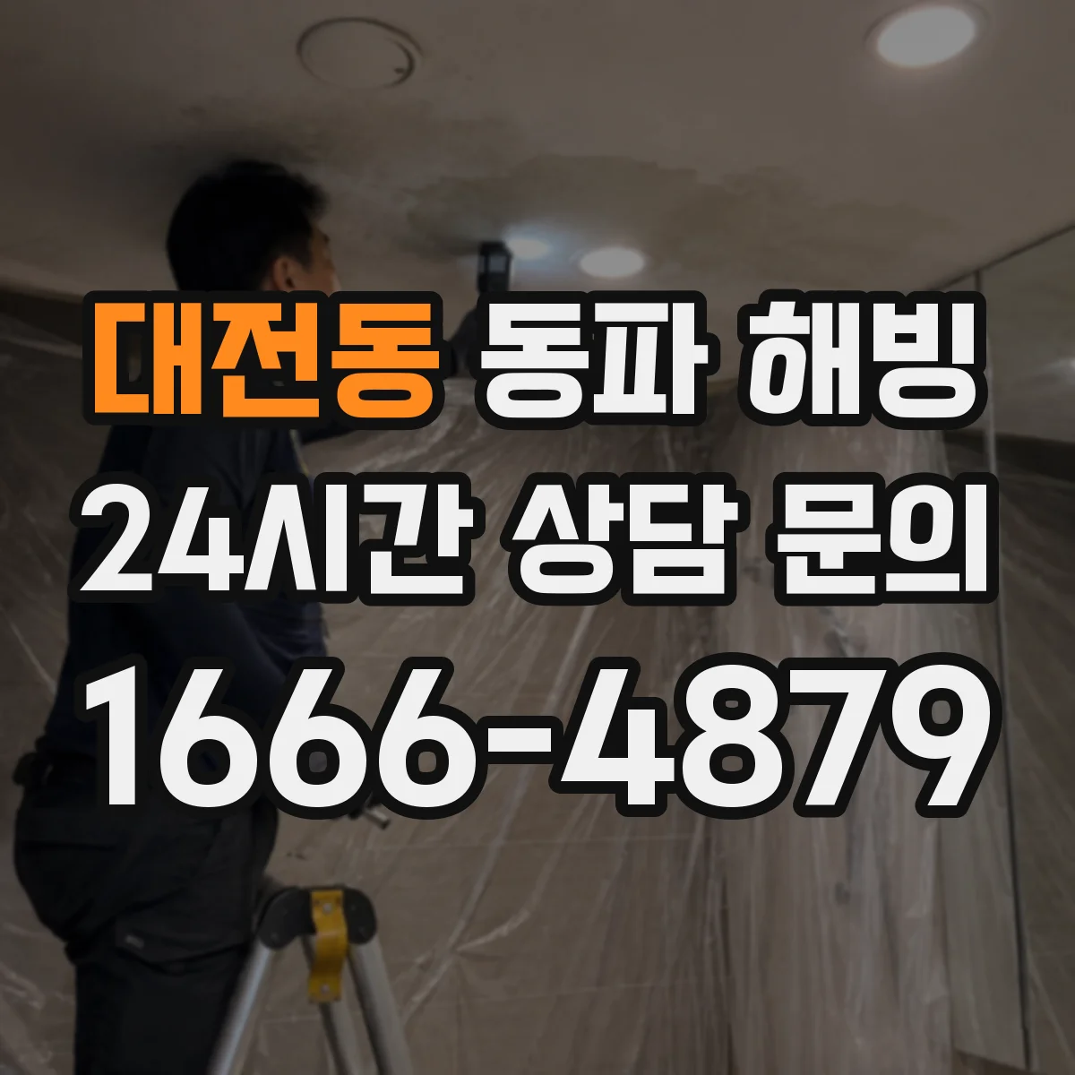 대전동 동파 해빙