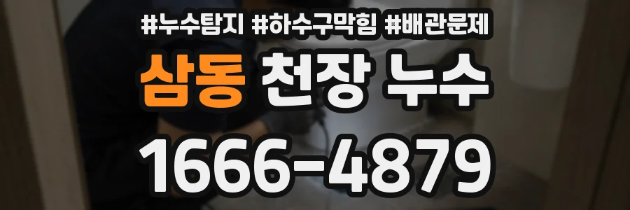삼동 천장 누수