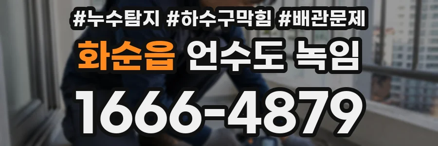 화순읍 언수도 녹임