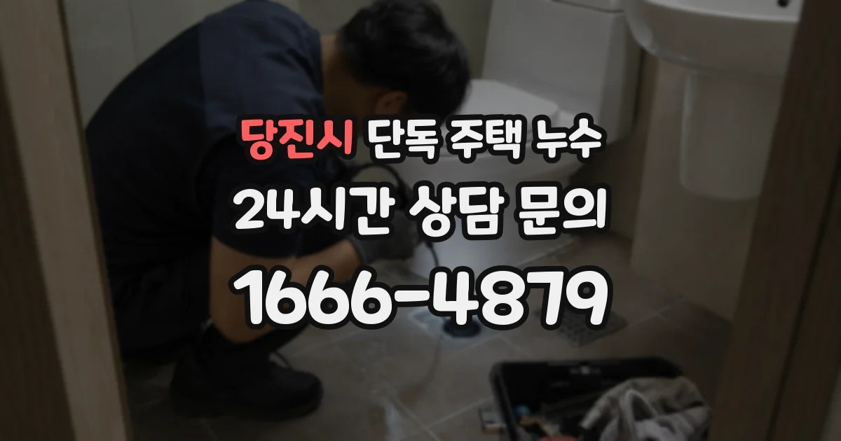 당진시 단독 주택 누수