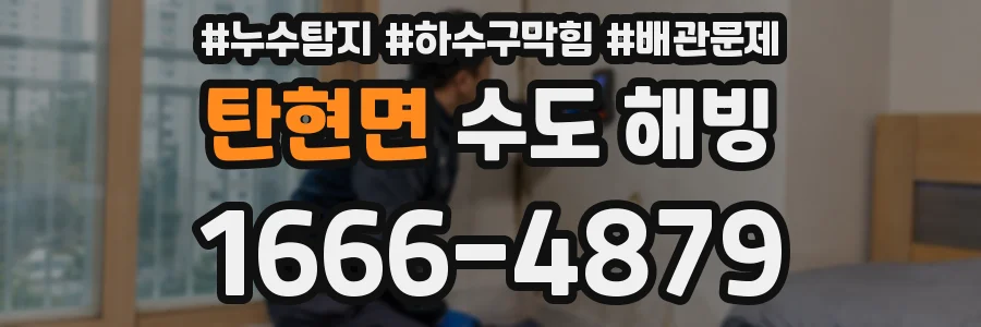 탄현면 수도 해빙