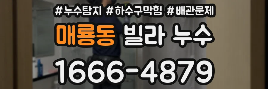 매룡동 빌라 누수