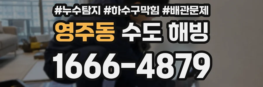 영주동 수도 해빙