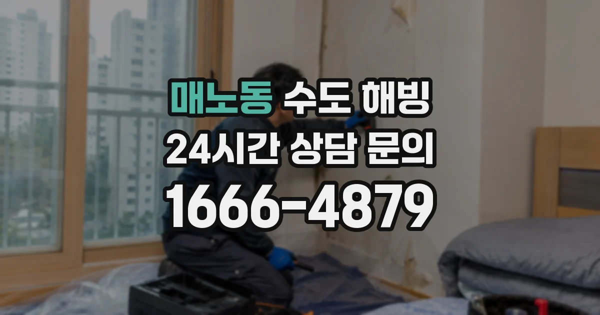 매노동 수도 해빙