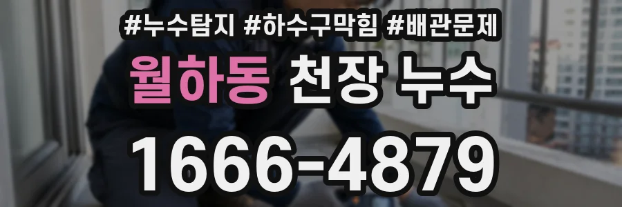 월하동 천장 누수
