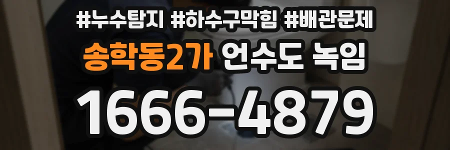 송학동2가 언수도 녹임
