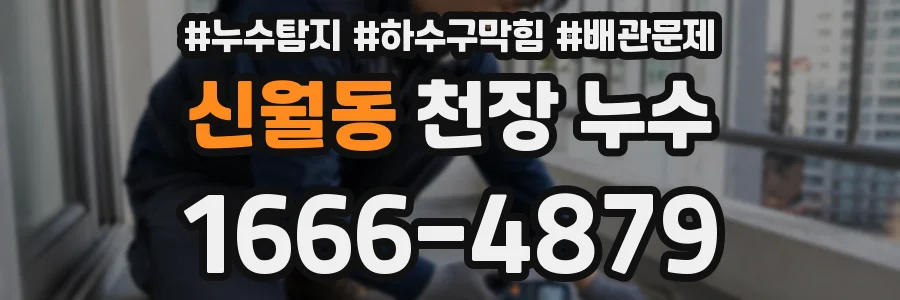 신월동 천장 누수