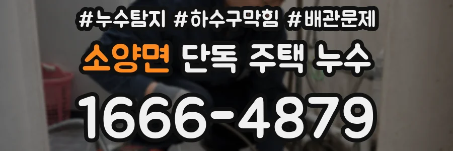 소양면 단독 주택 누수
