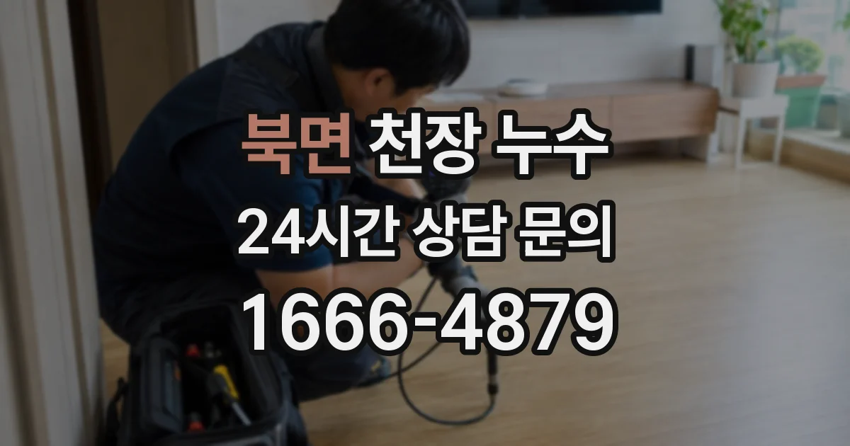 북면 천장 누수
