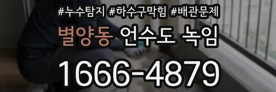 별양동 언수도 녹임