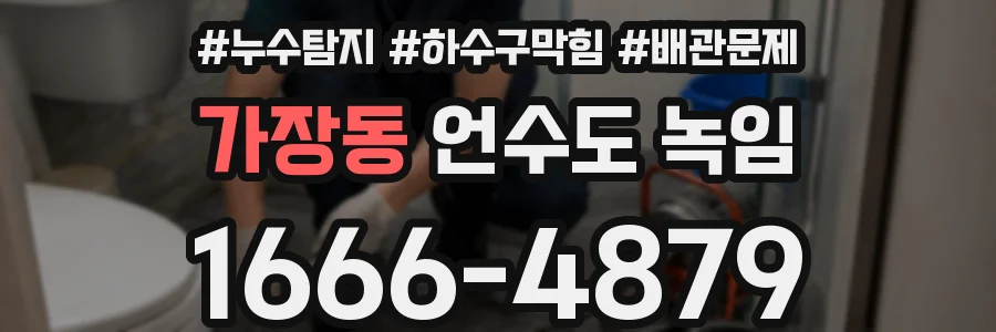 가장동 언수도 녹임