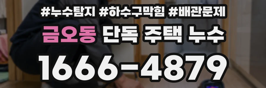 금오동 단독 주택 누수