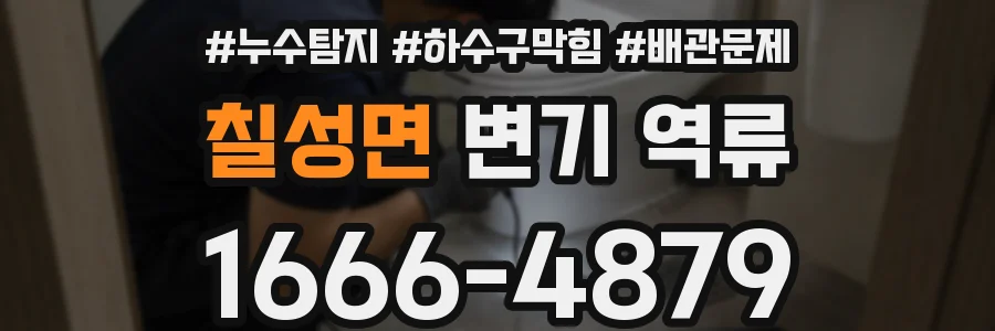 칠성면 변기 역류